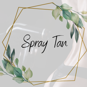 Spray Tan Online Course