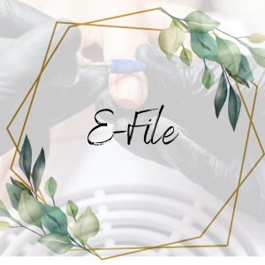 E-File Course